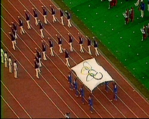 vlag in stadion