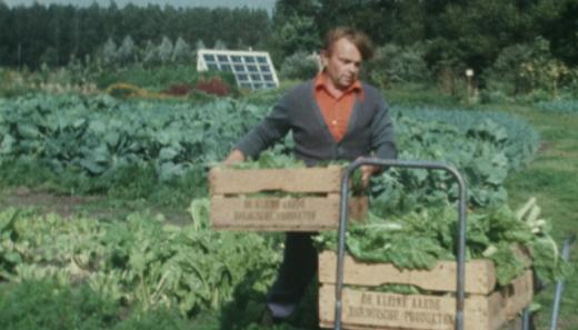 De productietuin van De Kleine Aarde