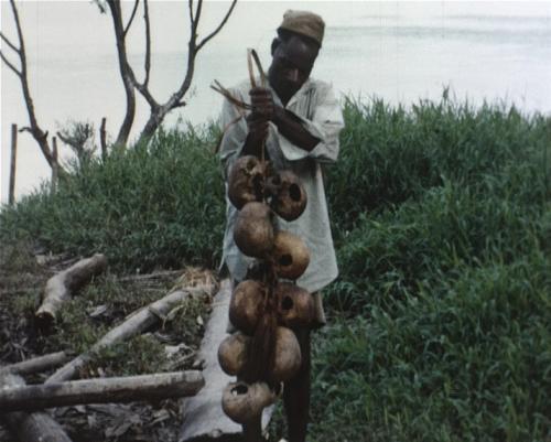 Asmat gesnelde schedels